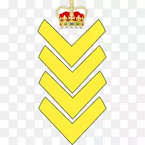 加拿大皇家骑警中士军衔