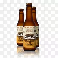 啤酒瓶棕色啤酒玻璃瓶-啤酒