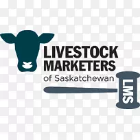 萨斯喀彻温省牛销售牲畜品牌营销