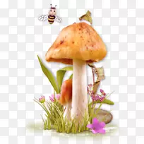食用菌剪贴画-蘑菇