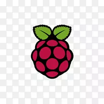 虚拟网络计算raspberry pi Realvnc紧密的计算机软件-计算机