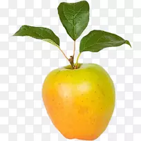 柑橘类天然食品果树苹果