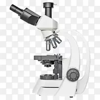 数字显微镜光布雷瑟光学显微镜