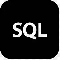 SQLforDUMIES SQL所有一体用于虚拟数据库开发的假人Amazon.com-book