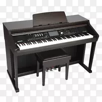 数字钢琴，电动钢琴，电子键盘，琵琶演奏者，钢琴