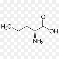 蛋氨酸异亮氨酸必需氨基酸