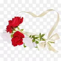 花园玫瑰贝莱罗兹芭芭西奥žė的罗莎×阿尔巴剪贴画