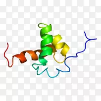 核受体辅抑制剂2蛋白组蛋白核心抑制物