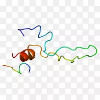 胆囊收缩素受体-胆囊收缩素受体g蛋白偶联受体-受体