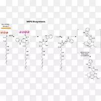 线条艺术点角车身首饰.线