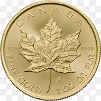 加拿大金枫叶加拿大银枫叶皇家加拿大薄荷-加拿大