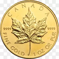 加拿大金枫叶加拿大枫叶金币-加拿大