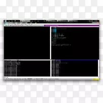 计算机程序python缓冲区溢出利用堆栈溢出