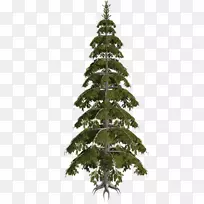 云杉圣诞树，冷杉，圣诞装饰，松树.圣诞树