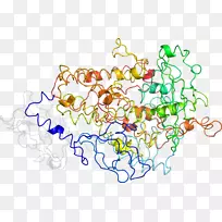 线点生物剪贴画线