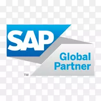 SAP se sap erp企业资源规划富士通商业智能
