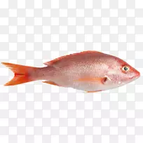北红笛鲷鱼生鱼片海鲜鱼