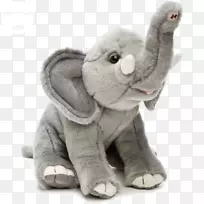 毛绒玩具和可爱玩具印度象非洲象-玩具