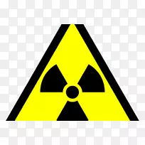 放射性衰变放射性定年放射性核素同位素放射性碳定年半衰期