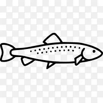 电脑图标鳟鱼夹艺术-鱼