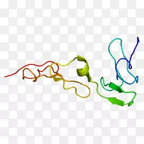 蛋白s缺乏髓鞘蛋白零