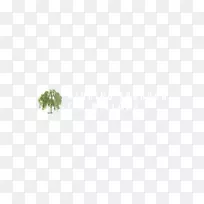 禾本科植物茎系