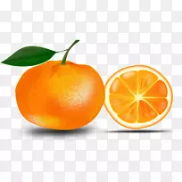 橙色剪贴画.橘子