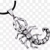 魅力和吊坠耳环蝎子银项链-蝎子