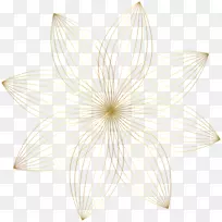花瓣对称nelumbo nucifera-金装饰