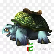 魔兽世界龟背塘龟-魔兽世界