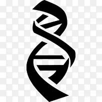 DNA复制载体核酸双螺旋dna测序