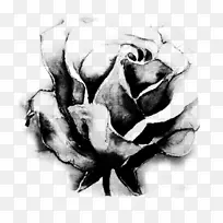 黑白玫瑰花园玫瑰花卉创作