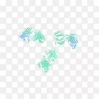 抗体-药物共轭结构带状图单域抗体-teal