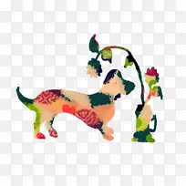 猫狗犬科-达克斯犬