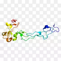 ADAM 10α分泌酶蛋白崩解素