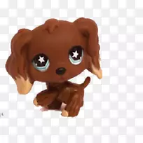 英国小猎犬小狗比格猫宠物店
