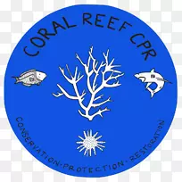 全球珊瑚礁危机海洋生物-珊瑚礁