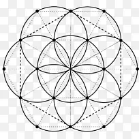 神圣几何学重叠圆网格数字符号法拉利-神圣几何学