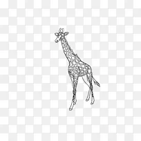 长颈鹿轮廓模板狮子图案长颈鹿图案