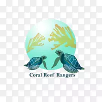海龟海洋生物绿松石-珊瑚礁