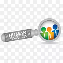 人力资源管理组织-人力资源