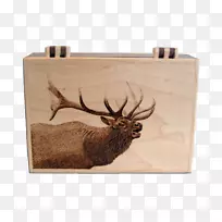 鹿、麋鹿、火烧画、木材艺术-鹿