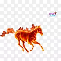 马纸飞马贴纸壁纸-史莱克菲奥娜