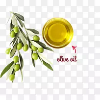 大豆油，橄榄油，替代保健服务，医药-食用油