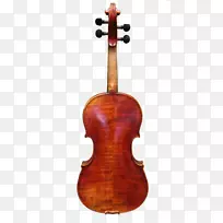 低音小提琴中提琴大提琴小提琴