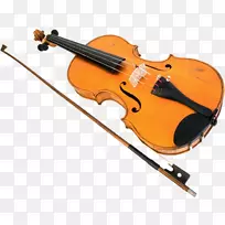 弦乐器、小提琴、家庭乐器.乐器