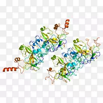 ehmt 2组蛋白甲基转移酶表观遗传学