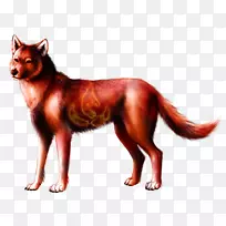 红狐犬培育国际火狼天堂