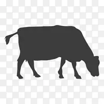 奶牛，赫里福德牛，牛