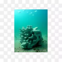 珊瑚礁石珊瑚3D打印-客厅顶景